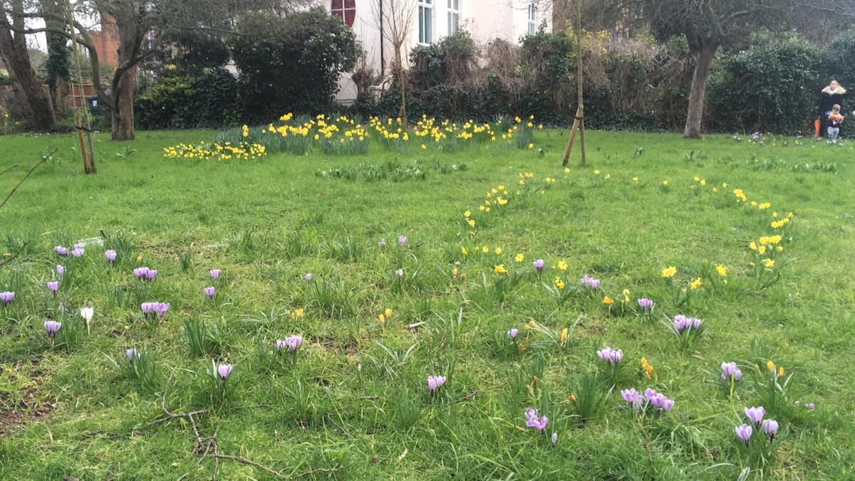 Addiscombe Triangle Spring 2020